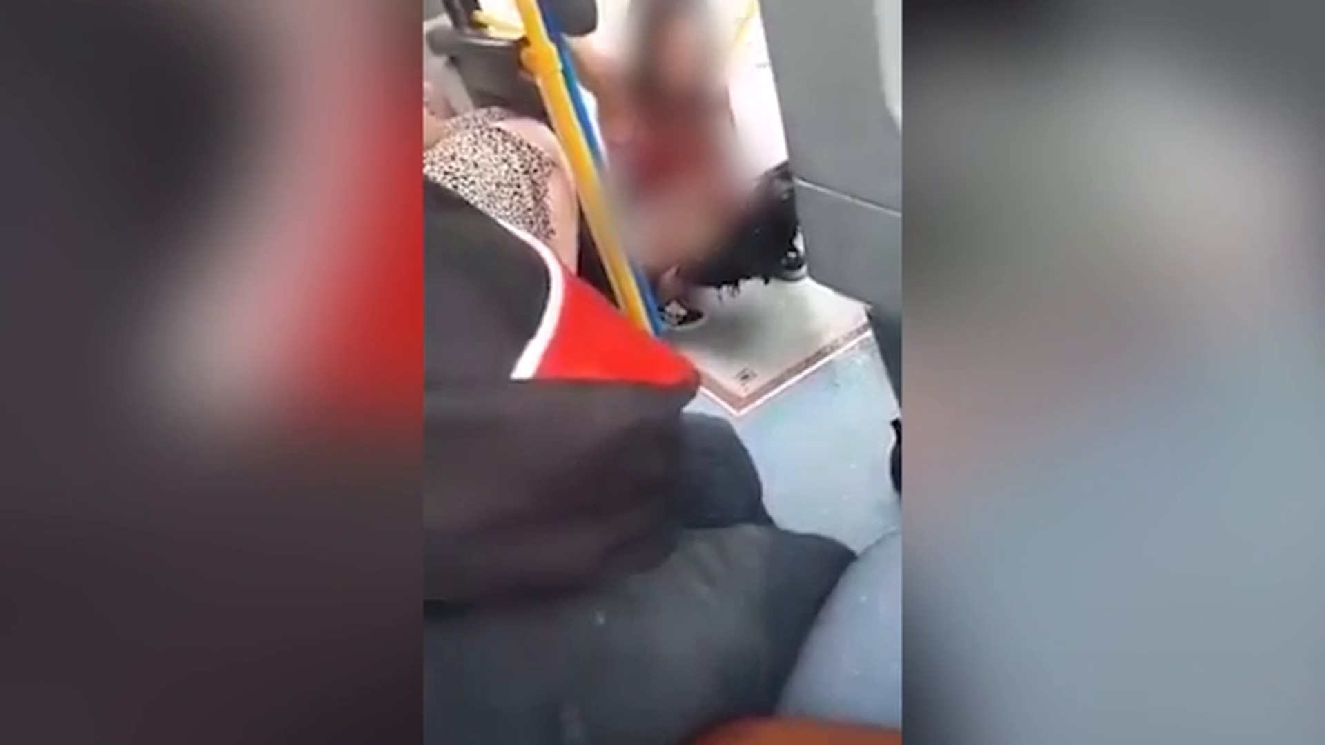 WATCH: Woman FORCED to pee on bus in front of horrified passengers after bu...
