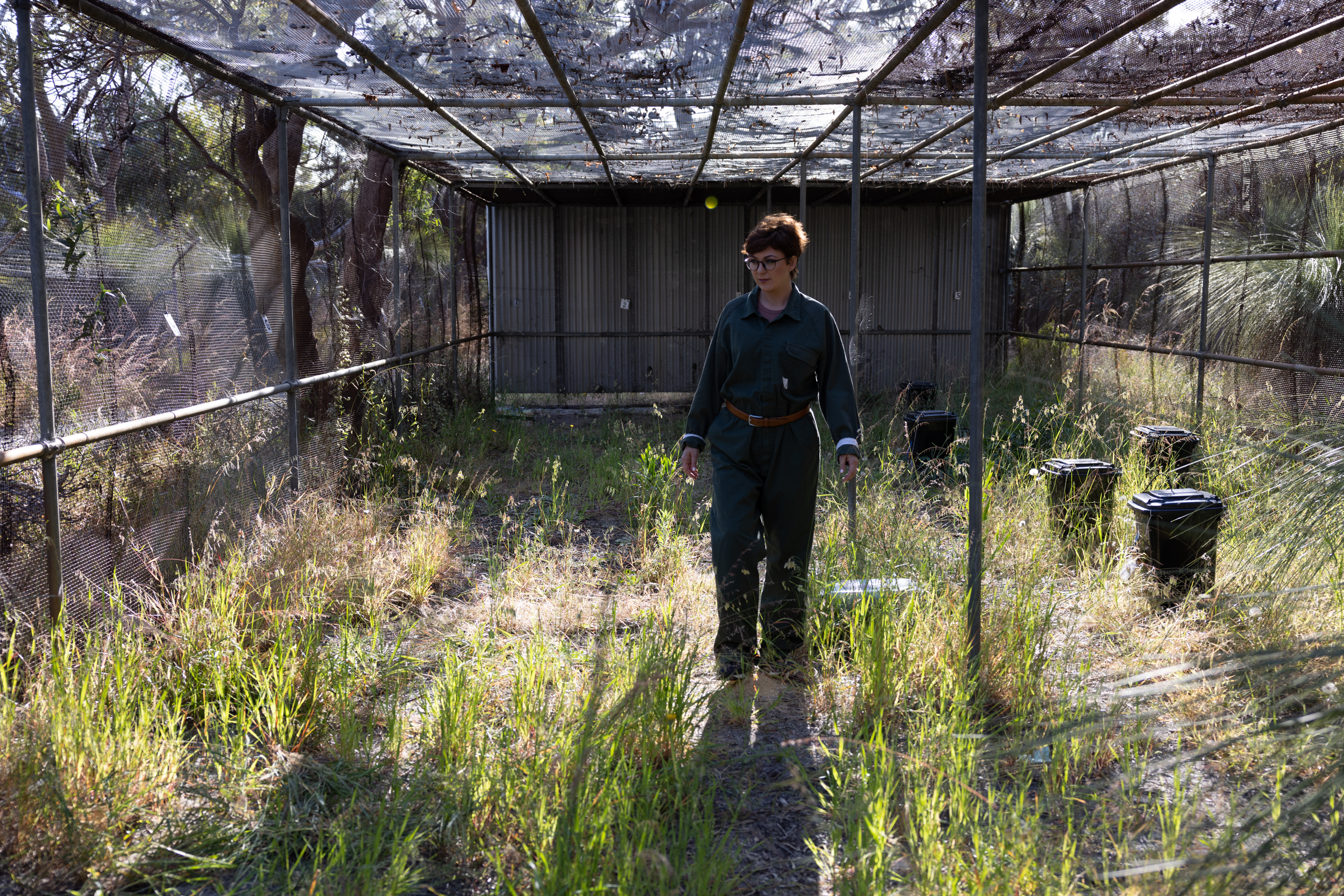 Woman Paola Magni researching in a field