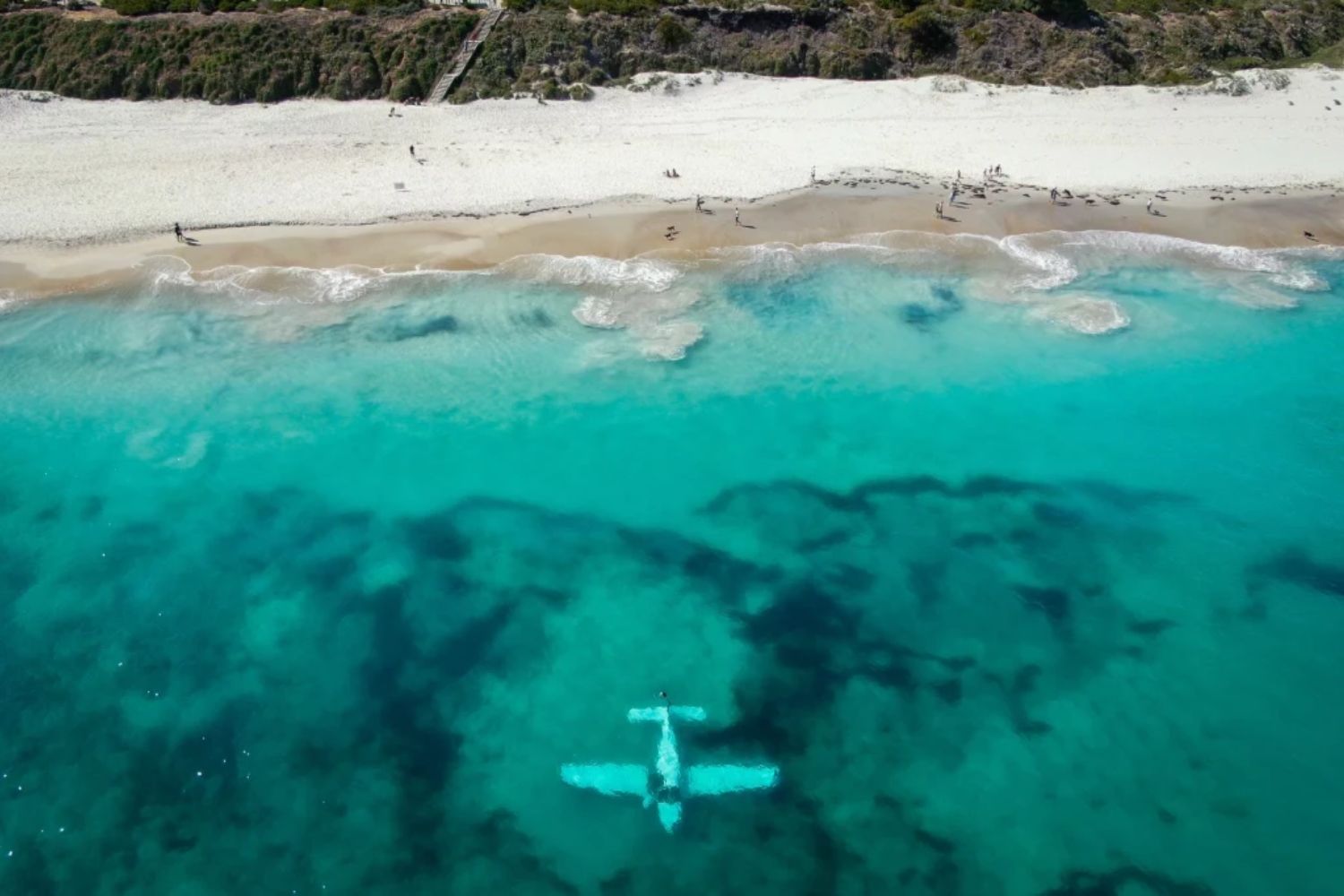 Michelle Yeates plane crash