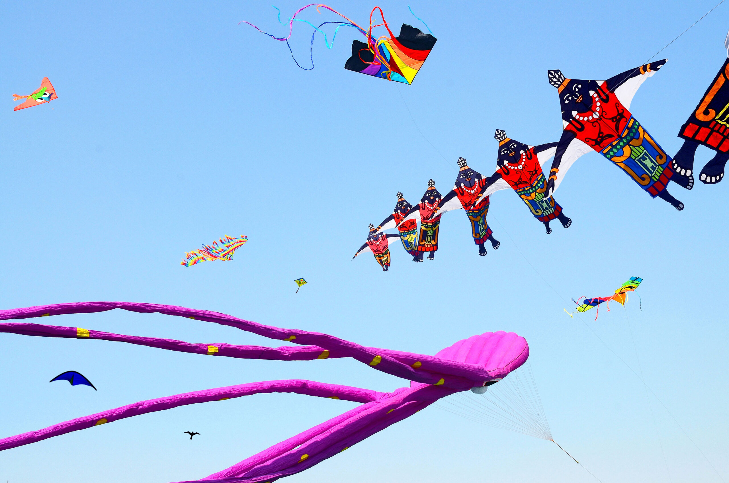 Gujarat is vibrant with the Kite Festival (Makar Sankranti) each year in January.