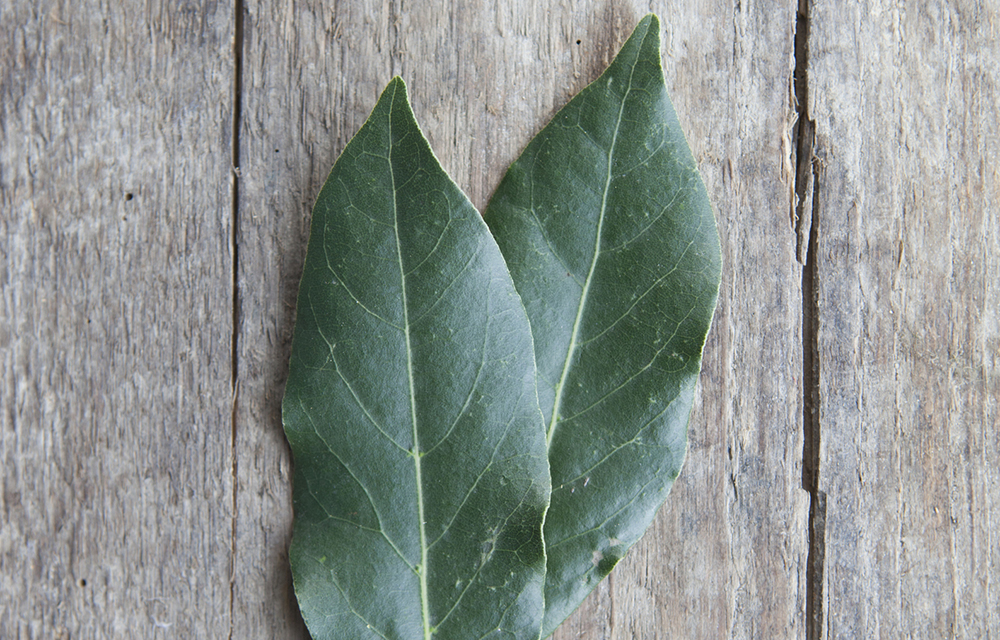 Bayleaves