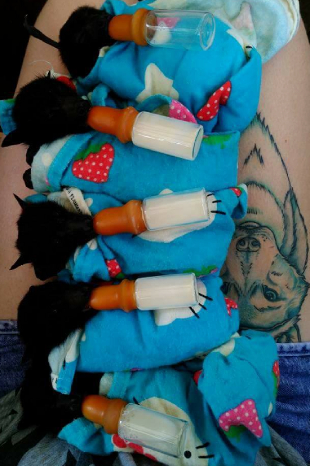Bottle feeding